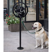 Куче завързано на стойка за кучета